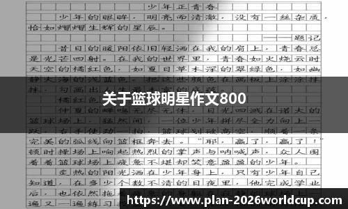 2026世界杯买球